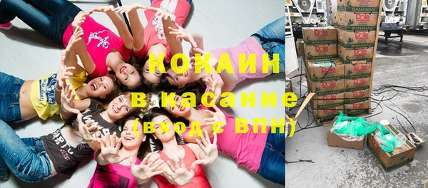 сатива Алзамай