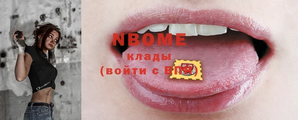 мет Алексин