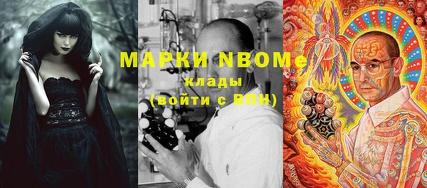 мет Алексин
