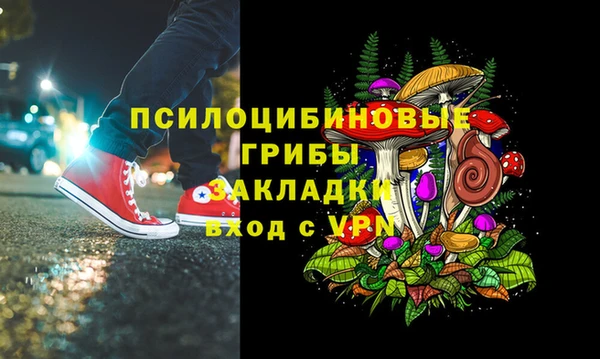 амф Абаза