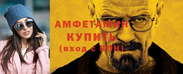 мет Алексин