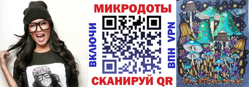 дарк нет официальный сайт Полтавская Галлюциногенные грибы Psilocybe где купить наркоту
